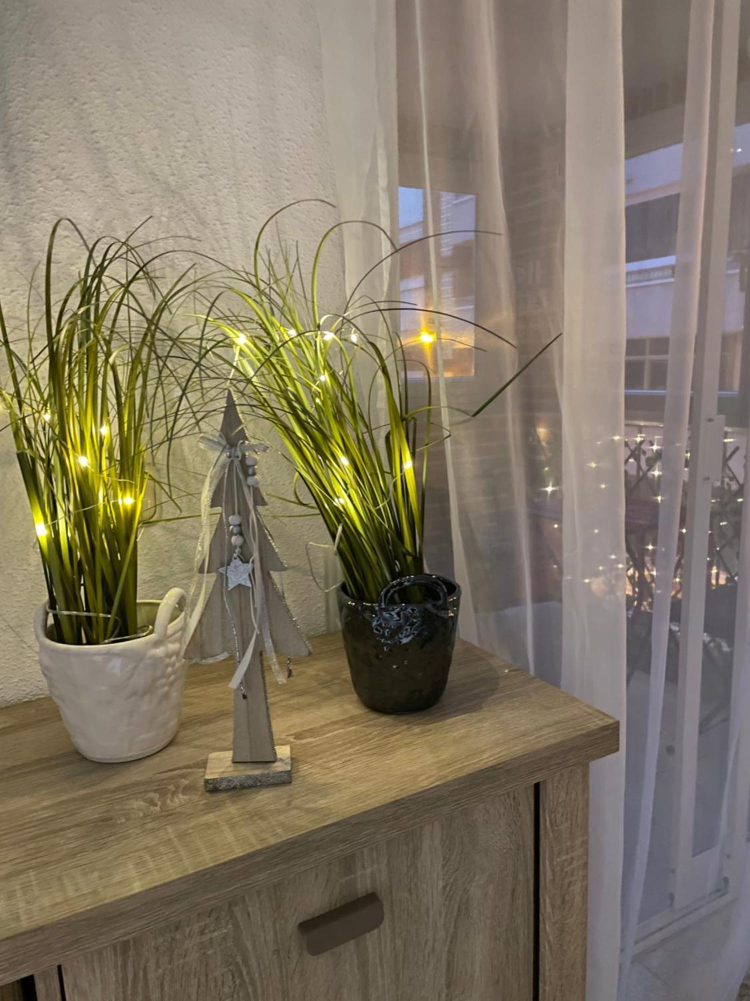 Flamenco Chill Apartment Torrevieja Eksteriør bilde